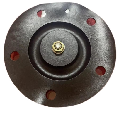 Conexão de fios de 24 V Válvula solenoide de alta pressão Diafragma 0 - 10 bar