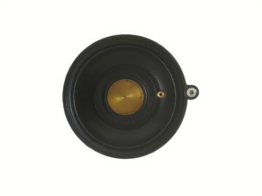 Diafragma de válvula solenóide com orifício de 3/4 polegada, apresentando alta resistência à corrosão e tipo de bobina solenóide para desempenho da válvula