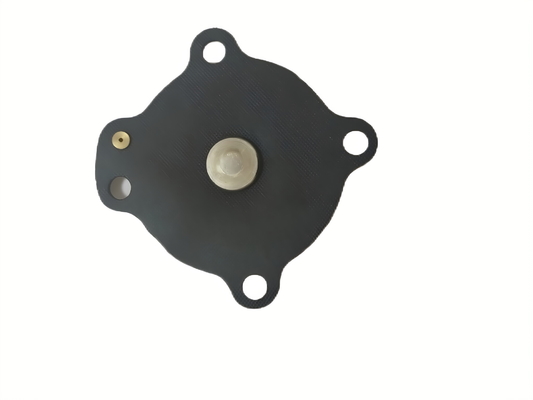 Controle de temperatura simplificado com diafragma de válvula solenoide preta e conexão roscada